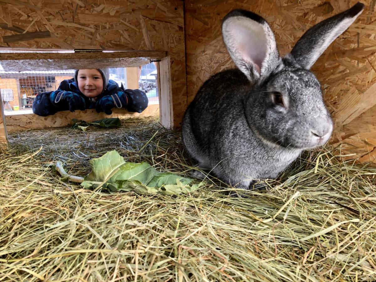 Lutzmannhof Villa Irdning Exteriör bild