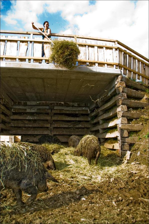 Lutzmannhof Villa Irdning Exteriör bild