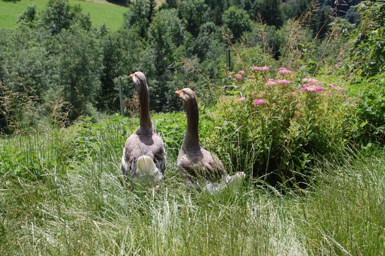 Lutzmannhof Villa Irdning Exteriör bild